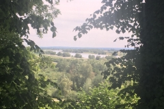 Elbaue