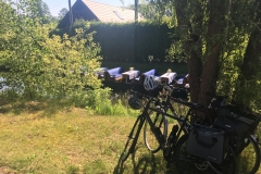 Im Spreewald